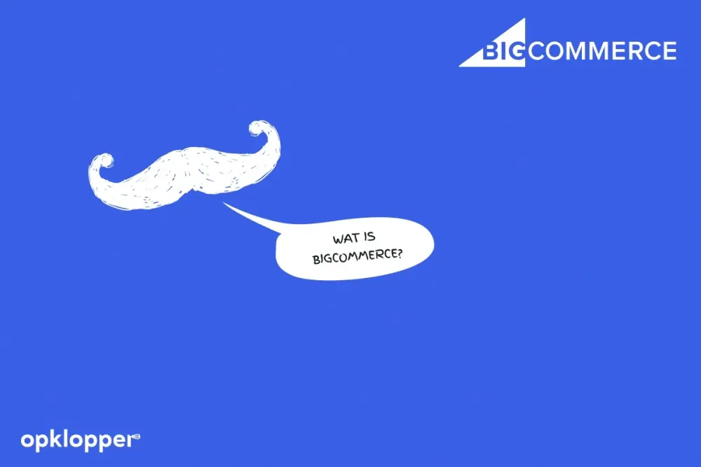 Wat is BigCommerce en hoe werkt het e-commerce platform?