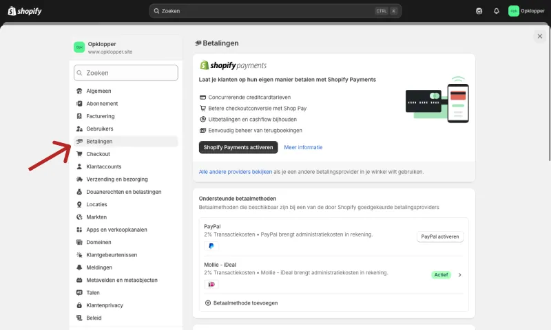 Navigeren naar het betalingen menu in Shopify