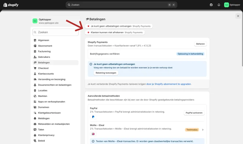 Printscreen van scherm na voltooien stappen Shopify Payments