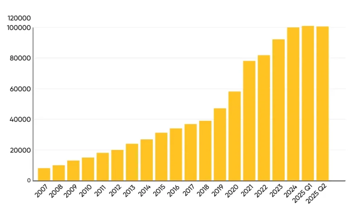 Infographic met de titel: Wat is een webshop? Definitie & Analyse. Het toont een grafiek van de stijging van het aantal webshops in Nederland (2007-2025)